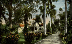 The Colonial Hotel And Bungalows Postcard