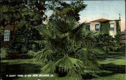 A Court Yard In Old New Orleans Postcard