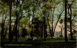 Autumn In Lincoln Park Postcard