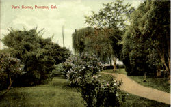 Park Scene Postcard