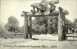 Enterance To Califonia Redwood Park Postcard