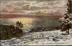 Lake Tahoe After A Snow Storm California Postcard Postcard