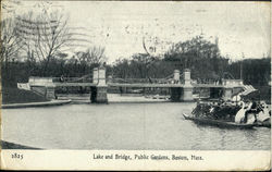 Lake And Bridge, Public Gardens Postcard