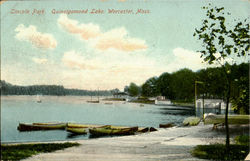 Lincoin Park, Ouinsigamond Lake Postcard