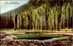 Emerald Pool Postcard