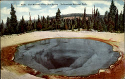 The Morning Glory Hot Spring Postcard