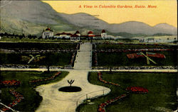 A View In Columbia Gardens Butte, MT Postcard Postcard