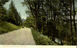 Driveway In City Park Postcard