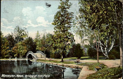 Bridge At Elm Park Postcard