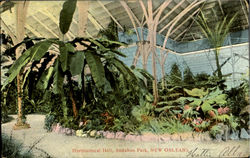 Horticultural Hall,Anduhon Park New Orleans, LA Postcard Postcard