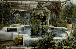 Rustic Fountain At Schillinas Postcard