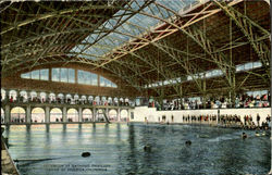 Interior Of Bathing Pavilion, Venice Of America Postcard