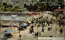 Avalon Santa Catalina Island, CA Postcard Postcard