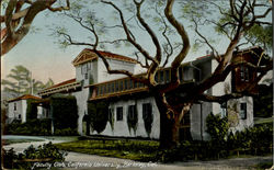 Faculty Club, California University Postcard