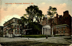 University Of Maryland Postcard