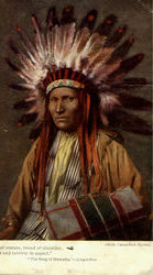 Hiawatha Native Americana Postcard Postcard