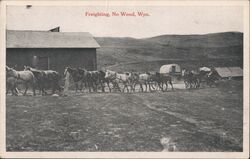 Freighting, No Wood, Wyo. Postcard