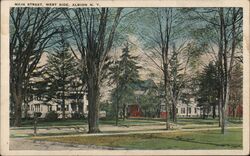 Main Street West Side Albion NY Postcard