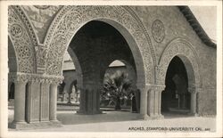 Arches Stanford University Postcard