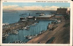 Galveston Harbor and Bay Postcard