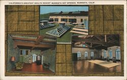 California's Greatest Health Resort Murrieta Hot Springs Postcard