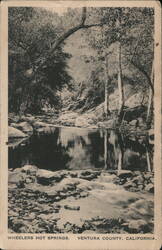 Wheelers Hot Springs Postcard