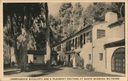 Santa Barbara Biltmore Postcard