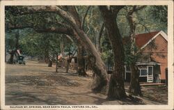 Sulphur Mt Springs, Near Santa Paula California Postcard Postcard Postcard