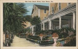 The Palm Beach Hotel Postcard