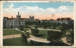 Campus University of Chicago Postcard