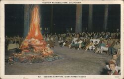 Evening Campfire Giant Forest Lodge Postcard