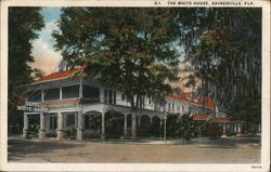 Hotel White House Gainesville Florida Postcard