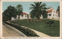 Two of the Cottages at Loma Linda Sanitarium Postcard