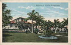 Residences in Suburbs, Havana Cuba Postcard Postcard Postcard