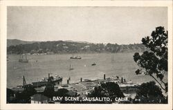 Bay Scene Sausalito Postcard