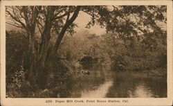 Paper Mill Creek Point Reyes Station California Postcard Postcard Postcard