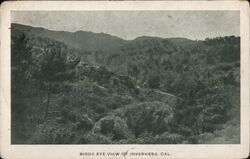 Birds Eye View of Inverness, CA Postcard