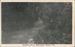 Beautiful Drive, Bearvalley Olema, CA Postcard Postcard Postcard