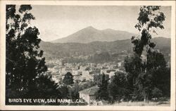 Bird's Eye View, San Rafael Postcard