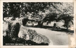 Boyd Park San Rafael Postcard