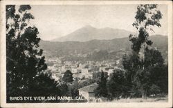 Bird's Eye View San Rafael Postcard