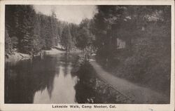 Lakeside Walk Camp Meeker Postcard