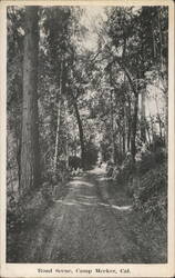 Road Scene Camp Meeker California Postcard Postcard Postcard