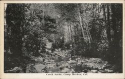 Creek Scene, Camp Meeker Postcard