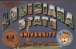 Greetings from Louisiana State University Postcard Postcard Postcard