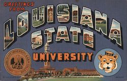 Greetings from Louisiana State University Postcard Postcard Postcard