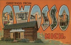 Greetings from Owosso Postcard