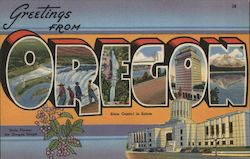 Greetings from Oregon Postcard Postcard Postcard