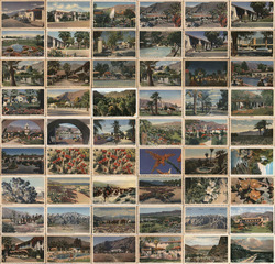 Lot of 54: Stephen H. Willard Palm Springs Area Postcards Postcard