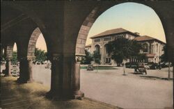 Stanford University Library Postcard